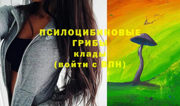бутират Белокуриха