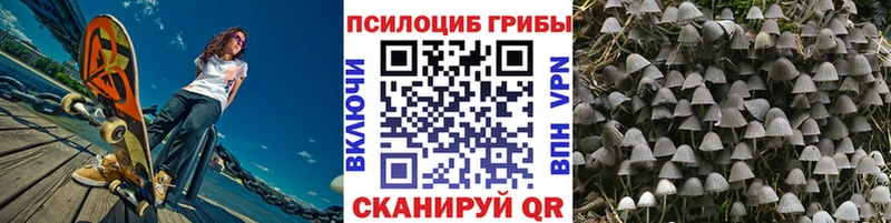 Псилоцибиновые грибы Cubensis Бутурлиновка